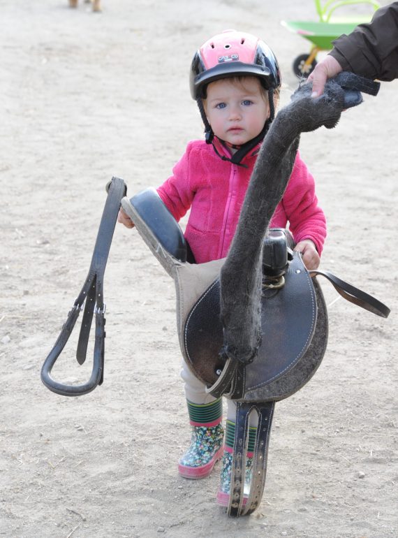 contact avec poney